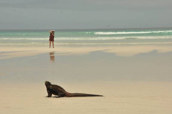 Fotografando uma iguana na praia em Tortuga Bay, na Ilha de Santa Cruz, em Galápagos